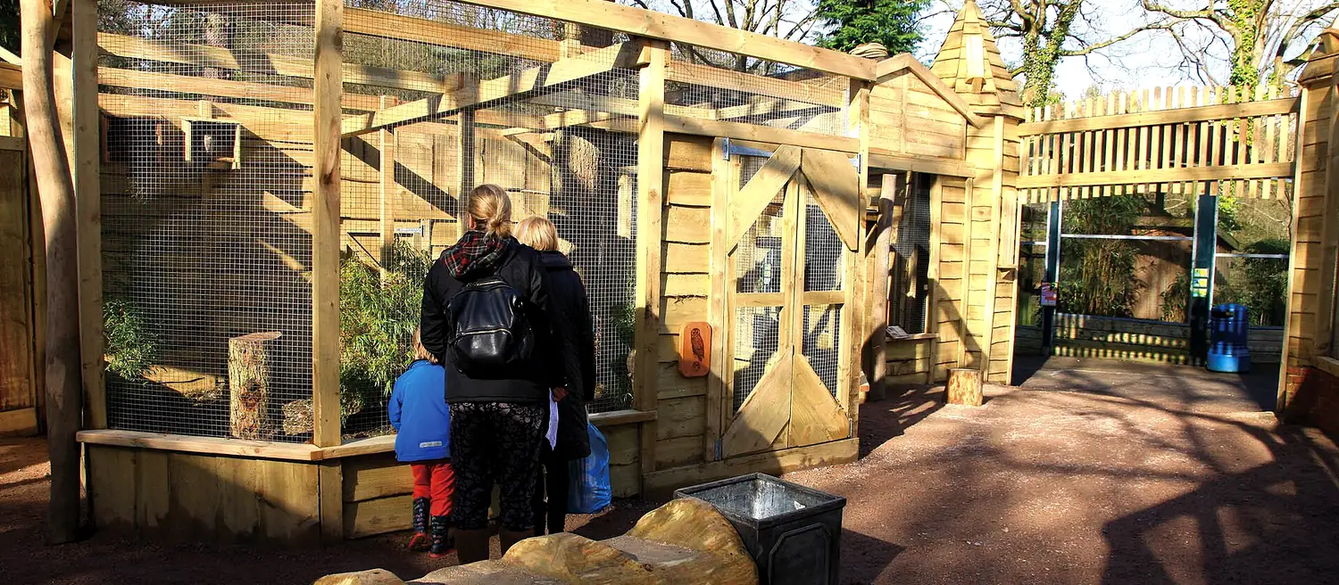 Bucks Horn Oak Taxi Service: Terry Pratchett Owl Parliament at Birdworld