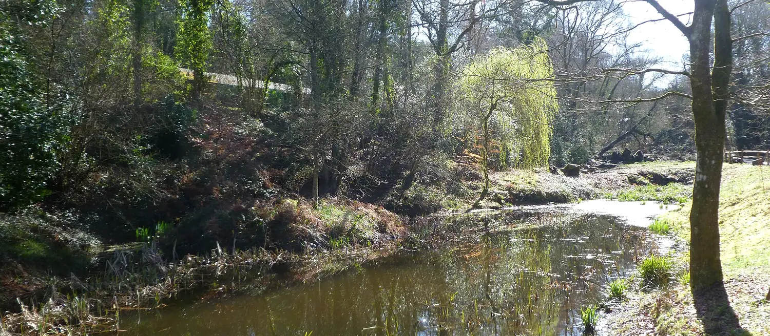 Cain Manor Wedding Taxi Service: Fullers Vale pond