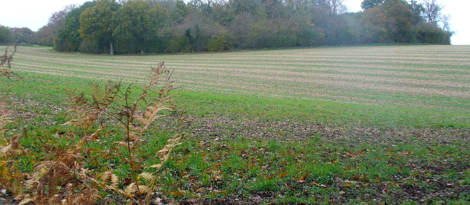 Ewshot Taxi Service: Barley Pound